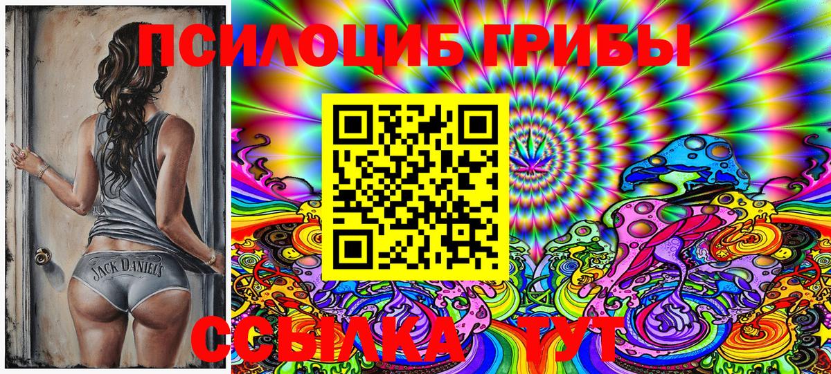 Псилоцибиновые грибы Cubensis Минеральные Воды